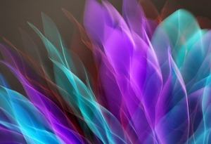 Thế giới giải trí Việt 